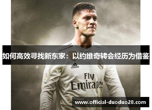 如何高效寻找新东家：以约维奇转会经历为借鉴