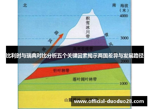 比利时与瑞典对比分析五个关键因素揭示两国差异与发展路径