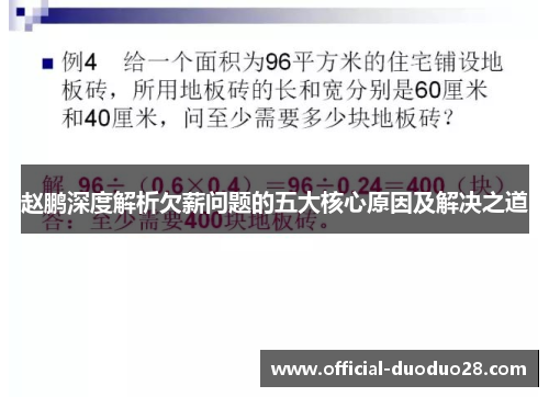赵鹏深度解析欠薪问题的五大核心原因及解决之道