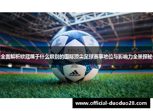 全面解析欧冠属于什么级别的国际顶尖足球赛事地位与影响力全景探秘