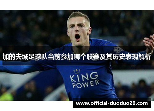 加的夫城足球队当前参加哪个联赛及其历史表现解析