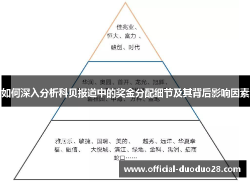 如何深入分析科贝报道中的奖金分配细节及其背后影响因素